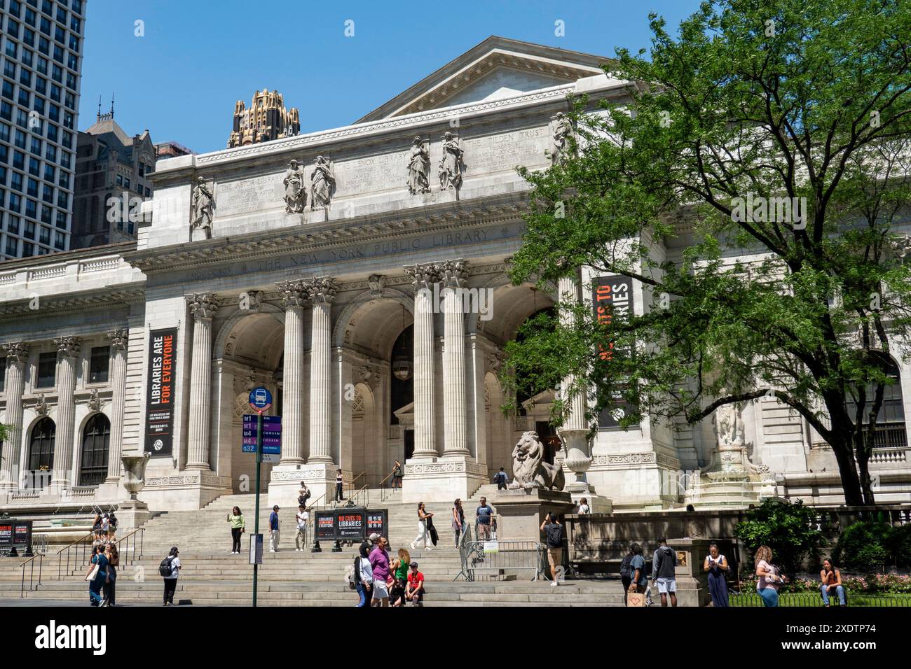 New York Library, Lion Statue, New York Print, Black and