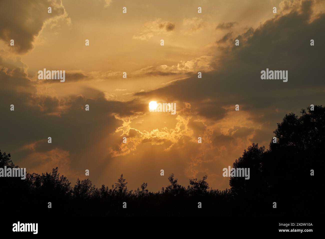 Sunset sky with tree silhouettes Stock Photo - Alamy