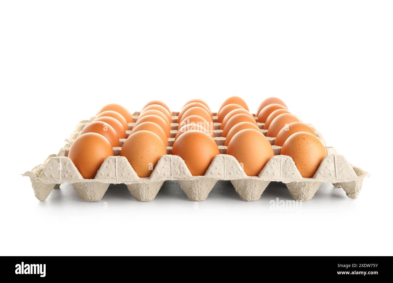 Chicken eggs in cardboard box on white background Stock Photo - Alamy