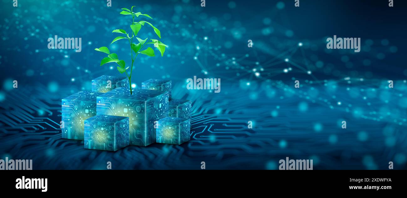 Tree growing on Circuit Digital Cube. Digital and Technology ...