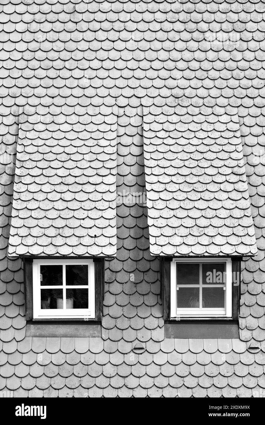 Roof detail Black and White Stock Photos & Images - Alamy