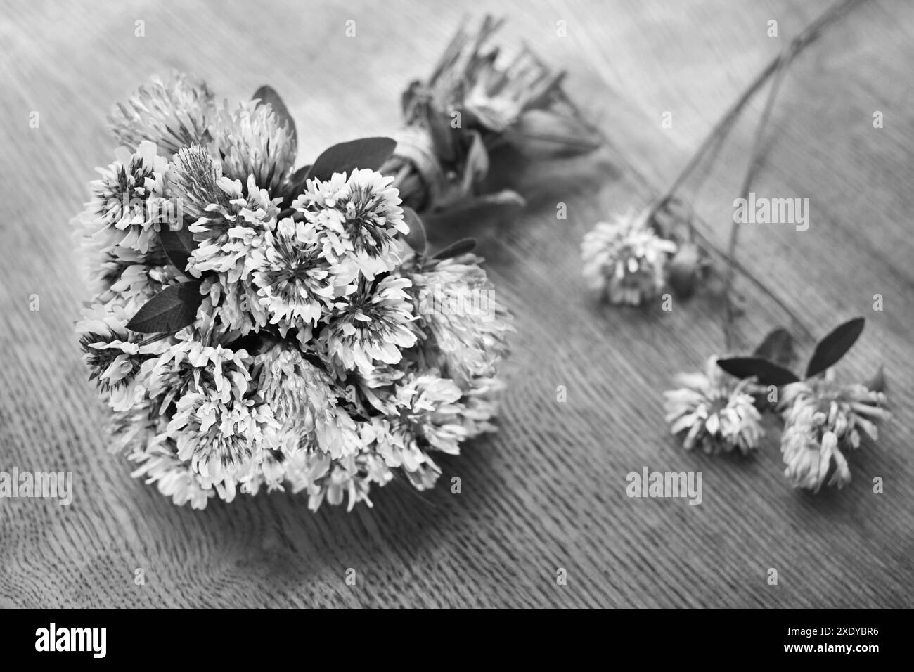 Small bouquet Black and White Stock Photos & Images - Alamy