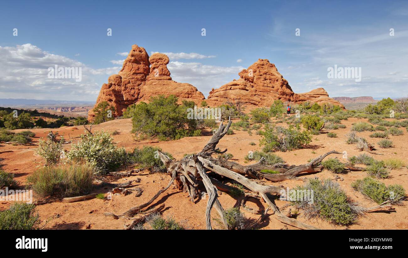 Arches National Park in Utah in the southwest of the USA. Iconic ...