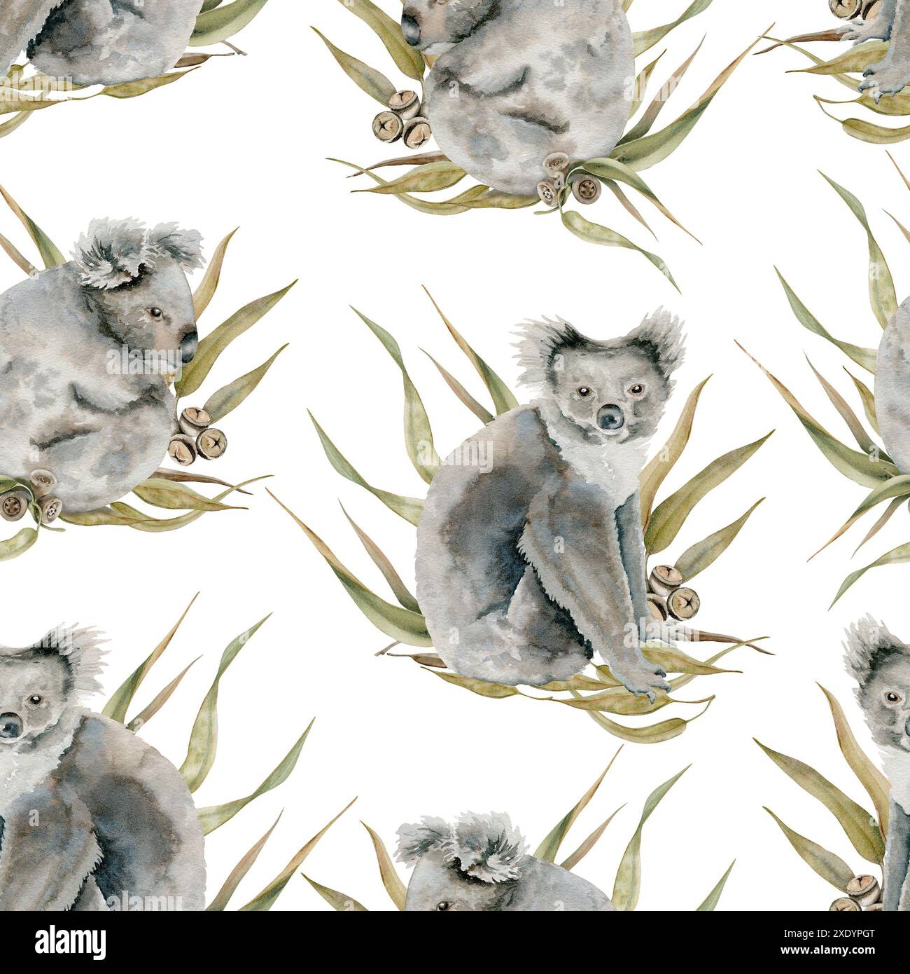 Cute koala bears with eucalyptus leaves seamless pattern. Endemic ...