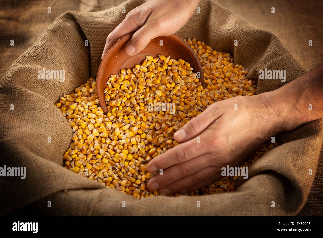 Caucasian male hands filling clay bowl with maize corns from burlap sack Stock Photo