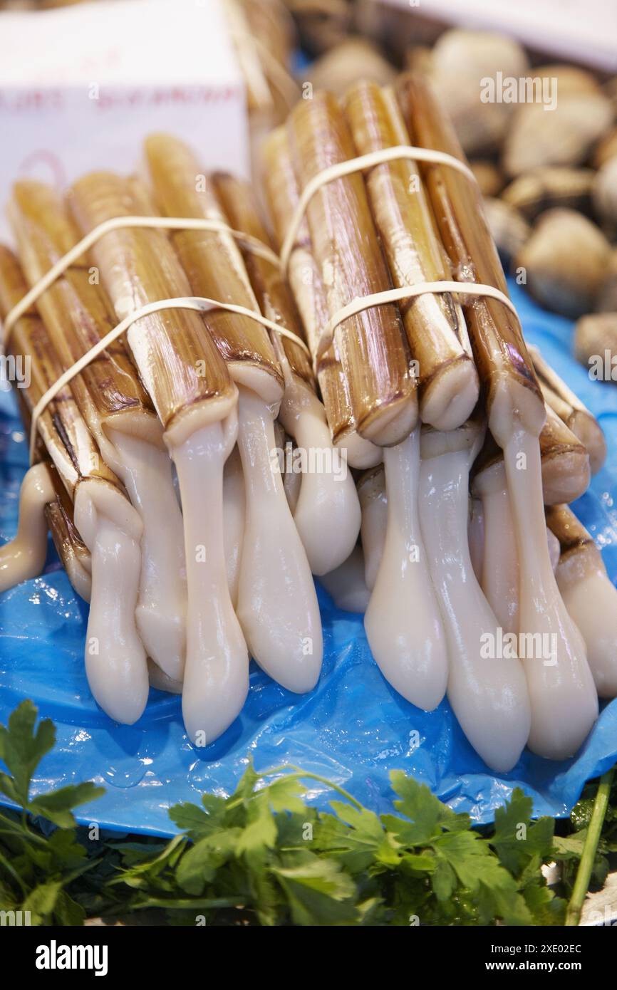 Razor fish shells hi-res stock photography and images - Alamy