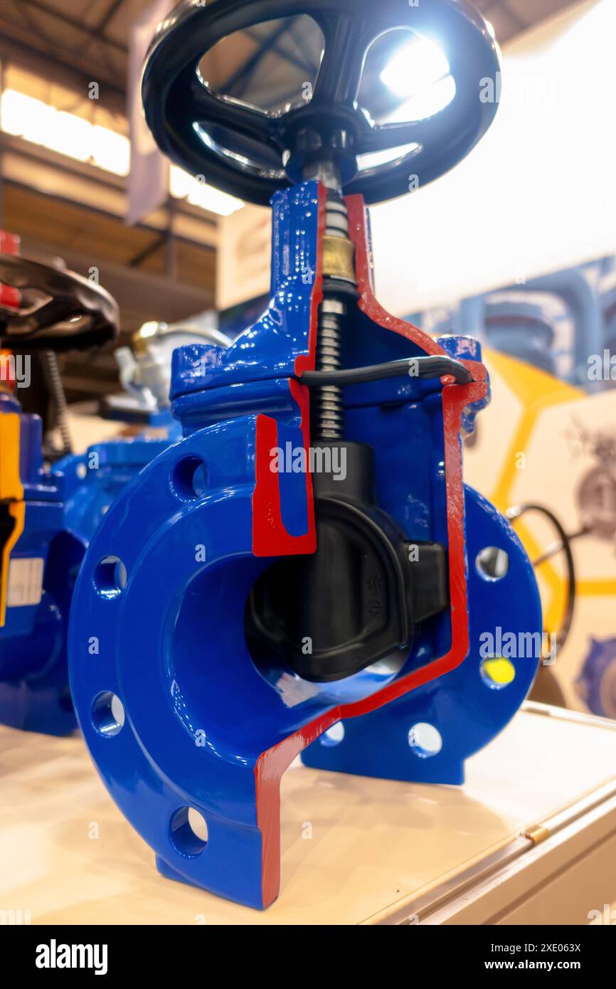 Shut-off valves in section. Structure and mechanical component Stock ...