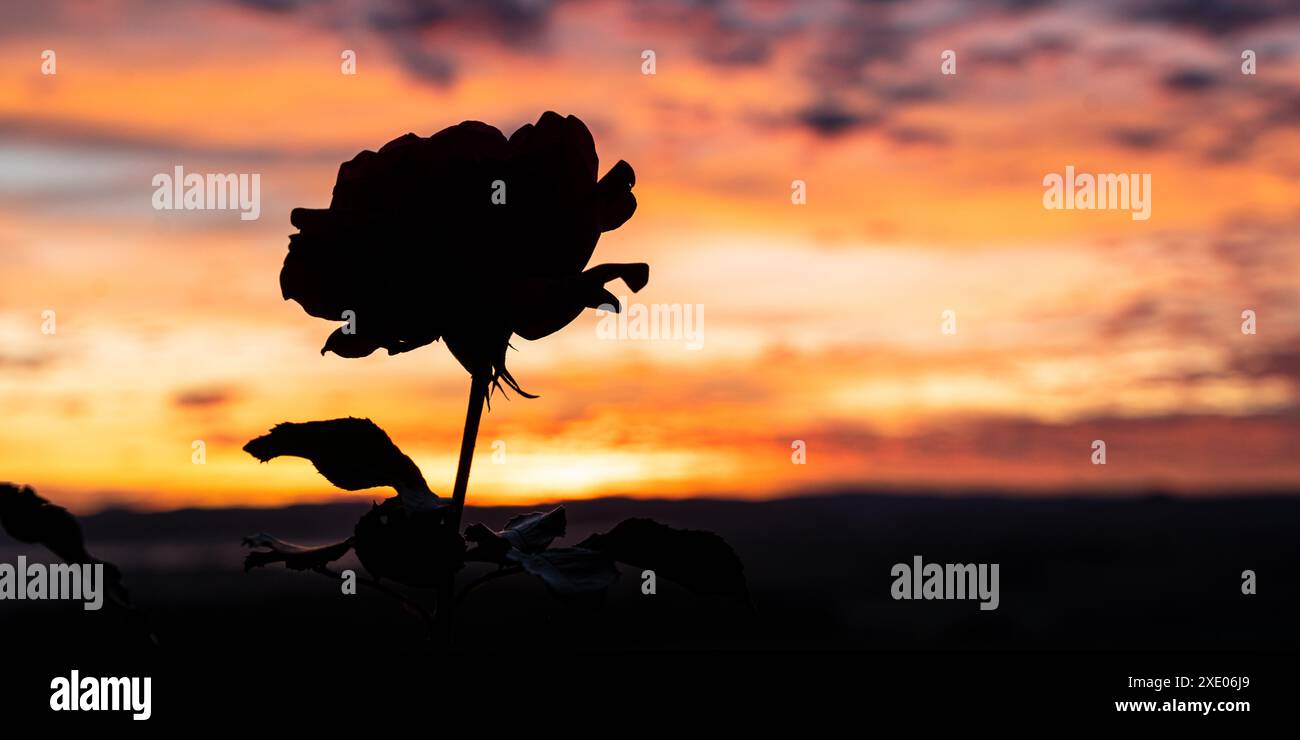 Black mood hi-res stock photography and images - Alamy