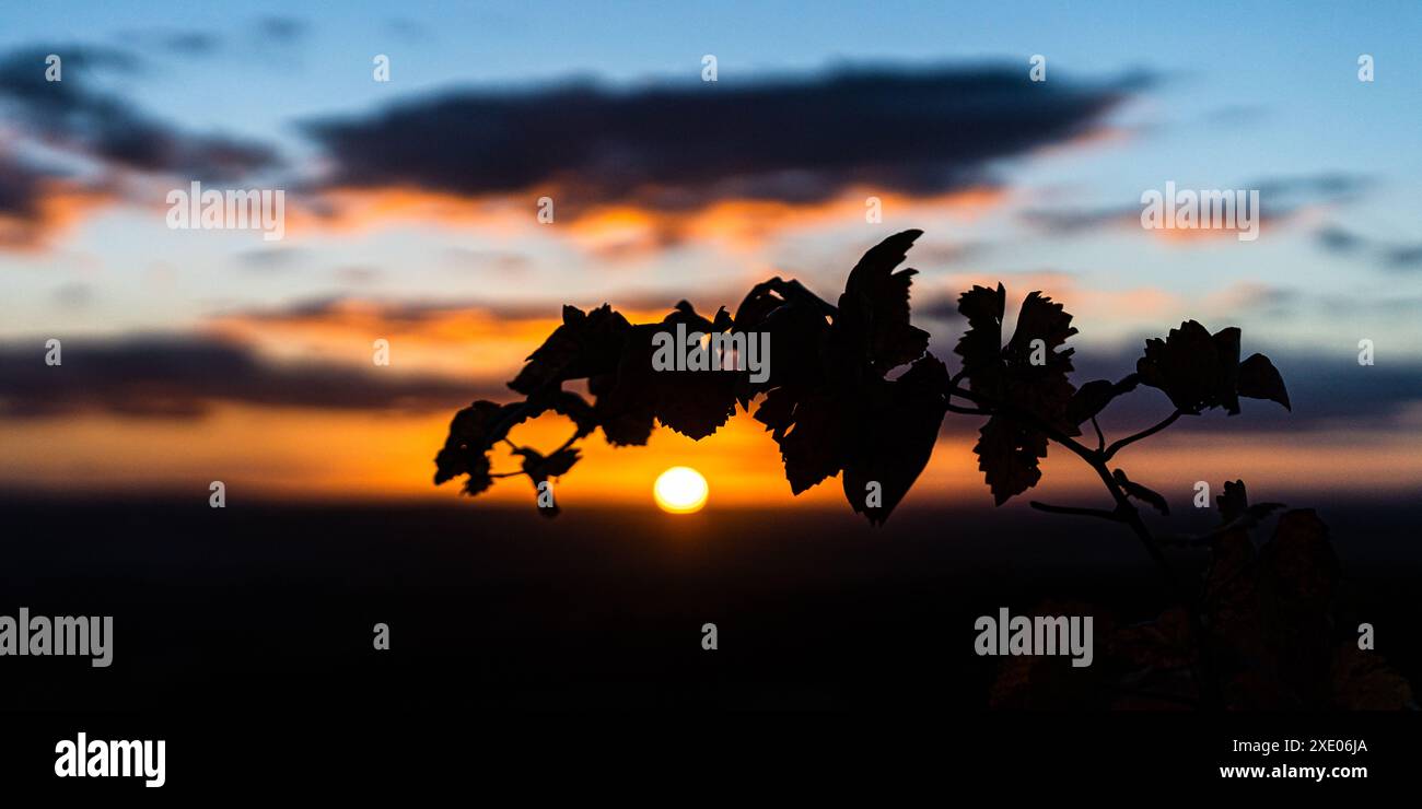 Morning mood hi-res stock photography and images - Alamy