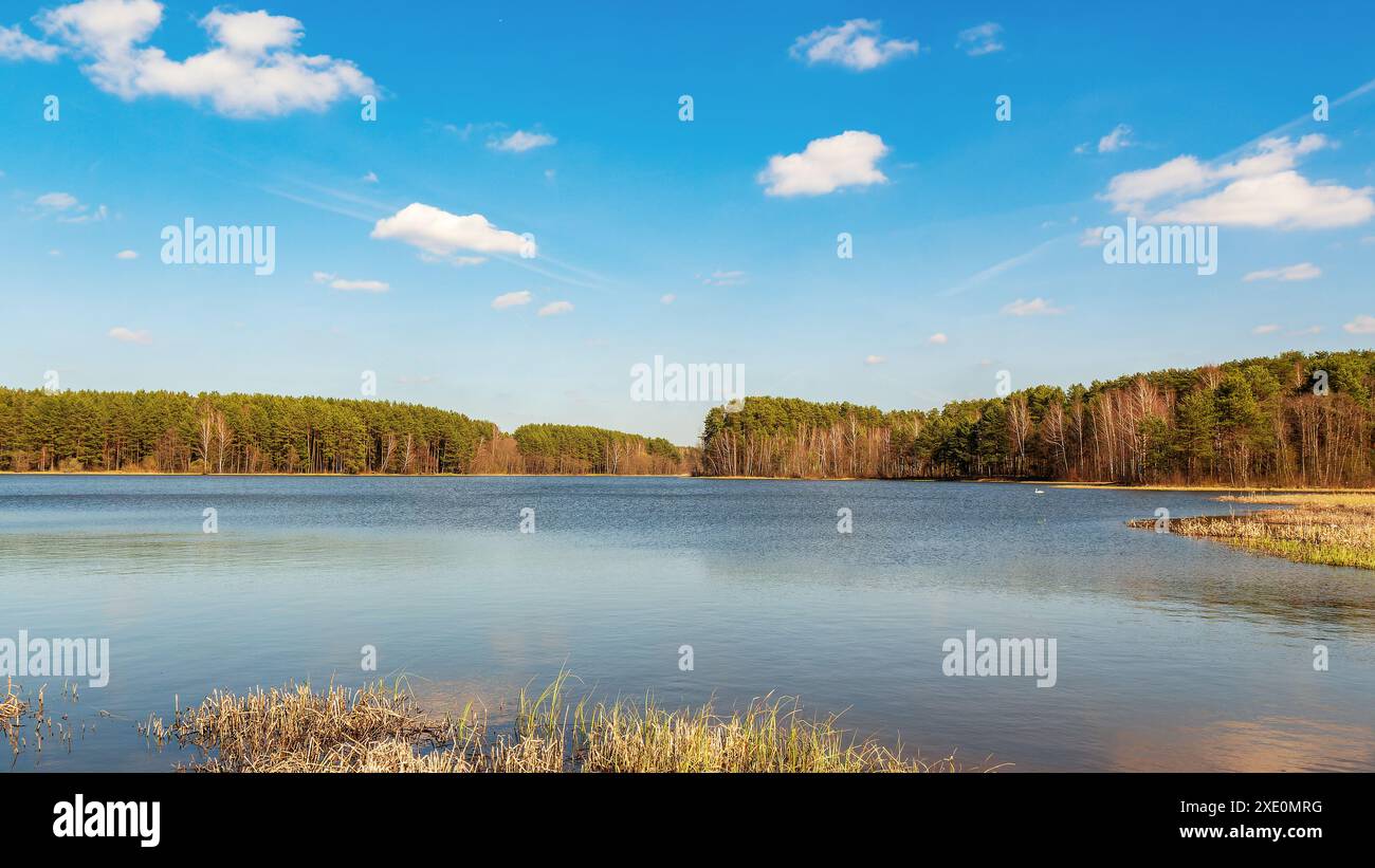 Landscape forest lake hi-res stock photography and images - Alamy