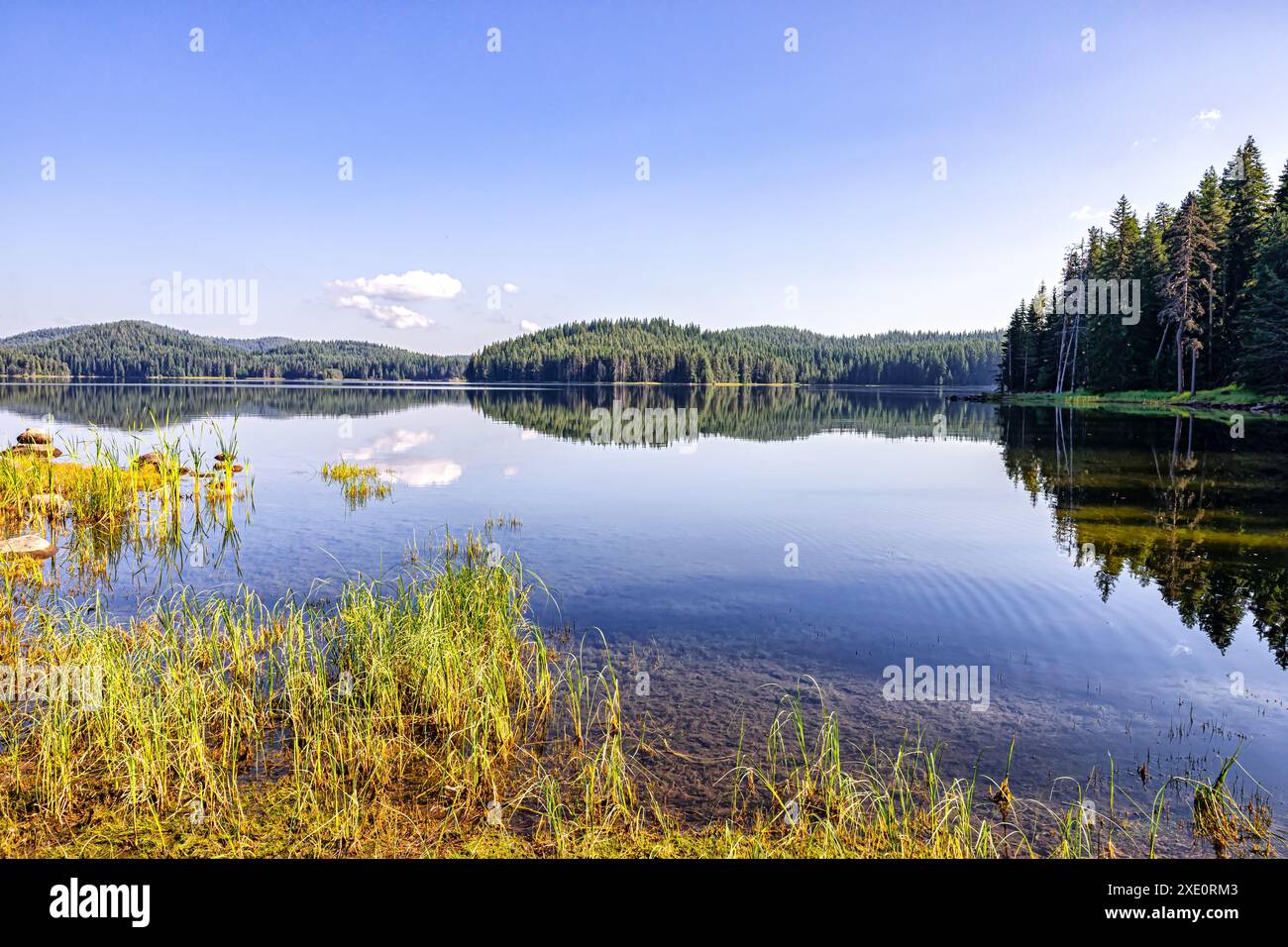 Western Rhodopes Amazing mirror at Shiroka Polyana Dam, Western Rhodopes, Bulgaria Stock ...