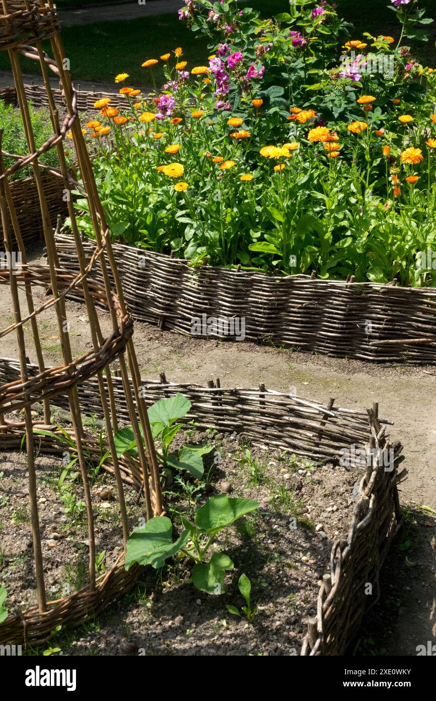 Raised Bed, Wicker, Willow, Garden Plant Plants, Early Summer June Herbaceous Stock Photo