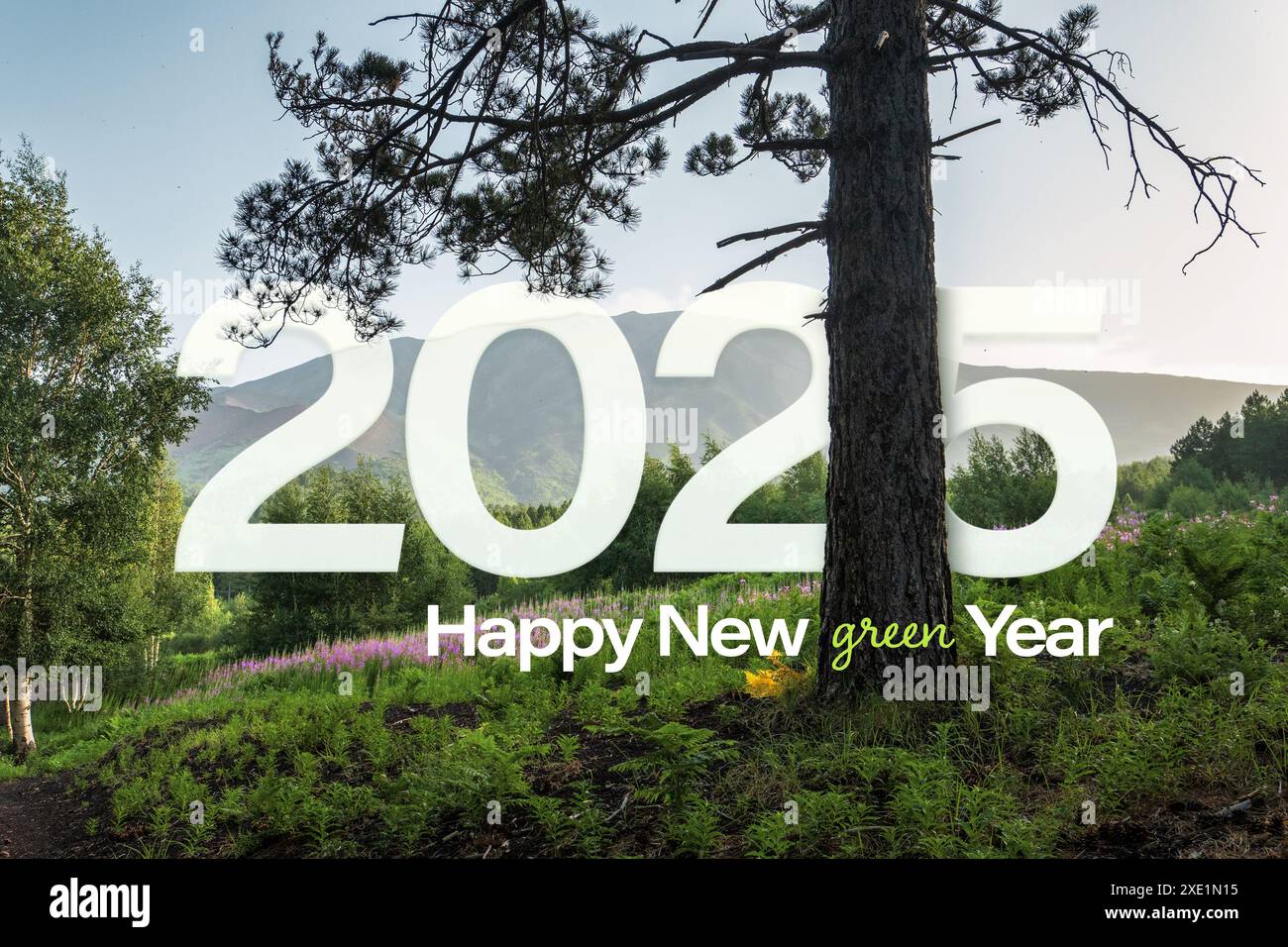 A scenic nature view with a large tree in the foreground and mountains in the background, overlaid with the text “2025 Happy New Green Year,” promotin Stock Photo