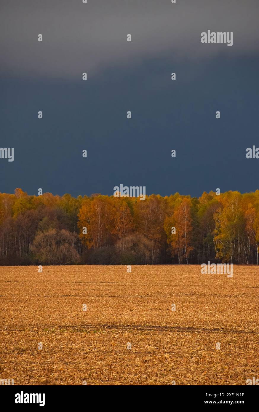 Stormy sky autumn hi-res stock photography and images - Alamy