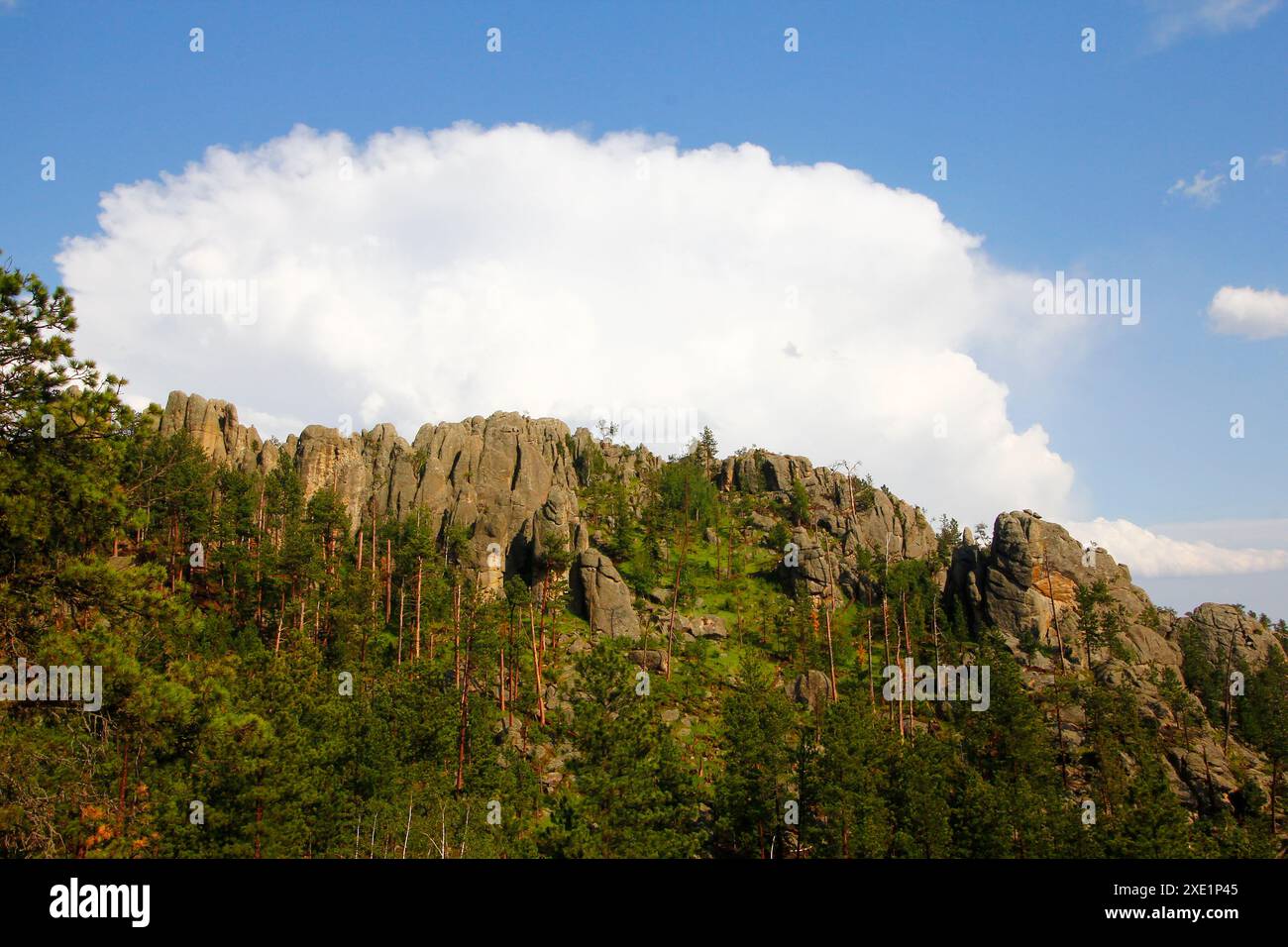 Views from the Needles Highway in Summer, South Dakota Stock Photo