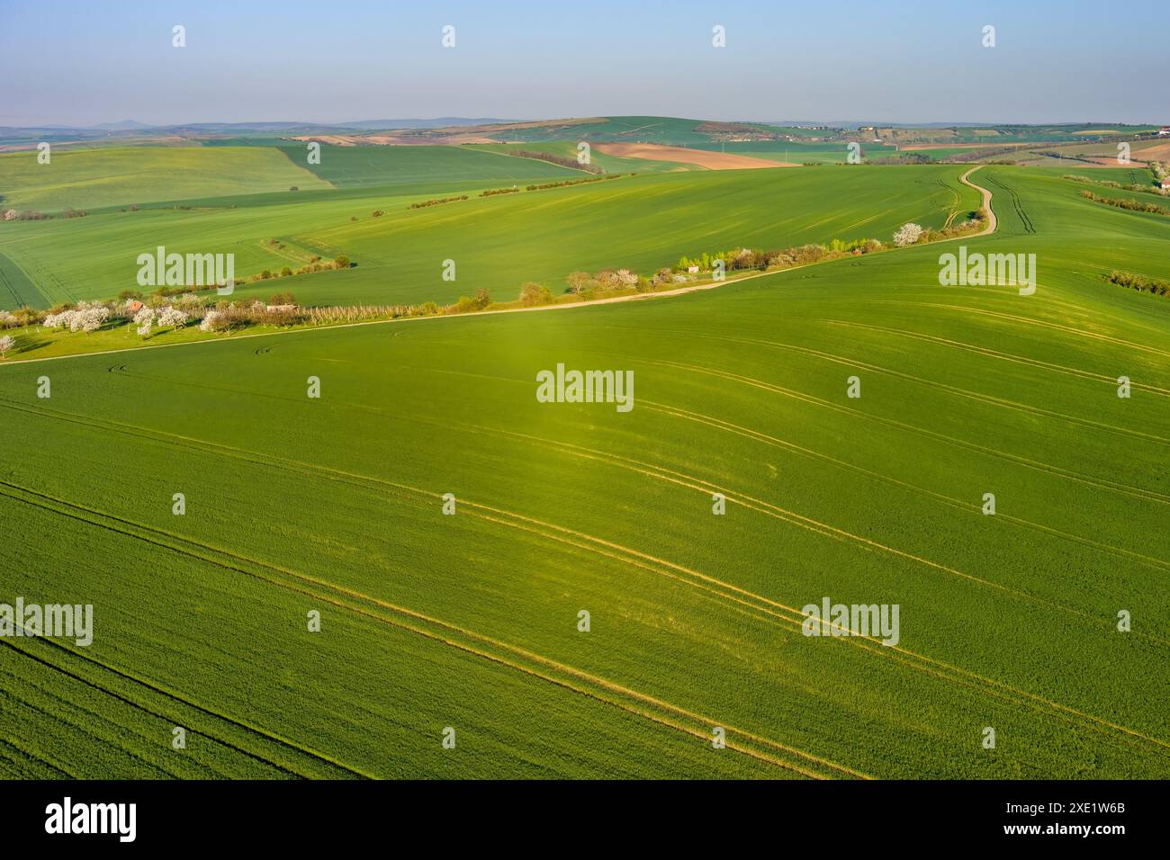 Green hills agriculture fields hi-res stock photography and images - Alamy