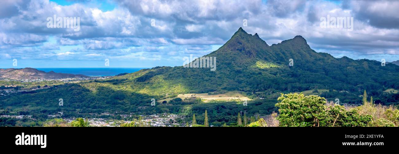 Hawaii oahu island rainforest hi-res stock photography and images - Alamy