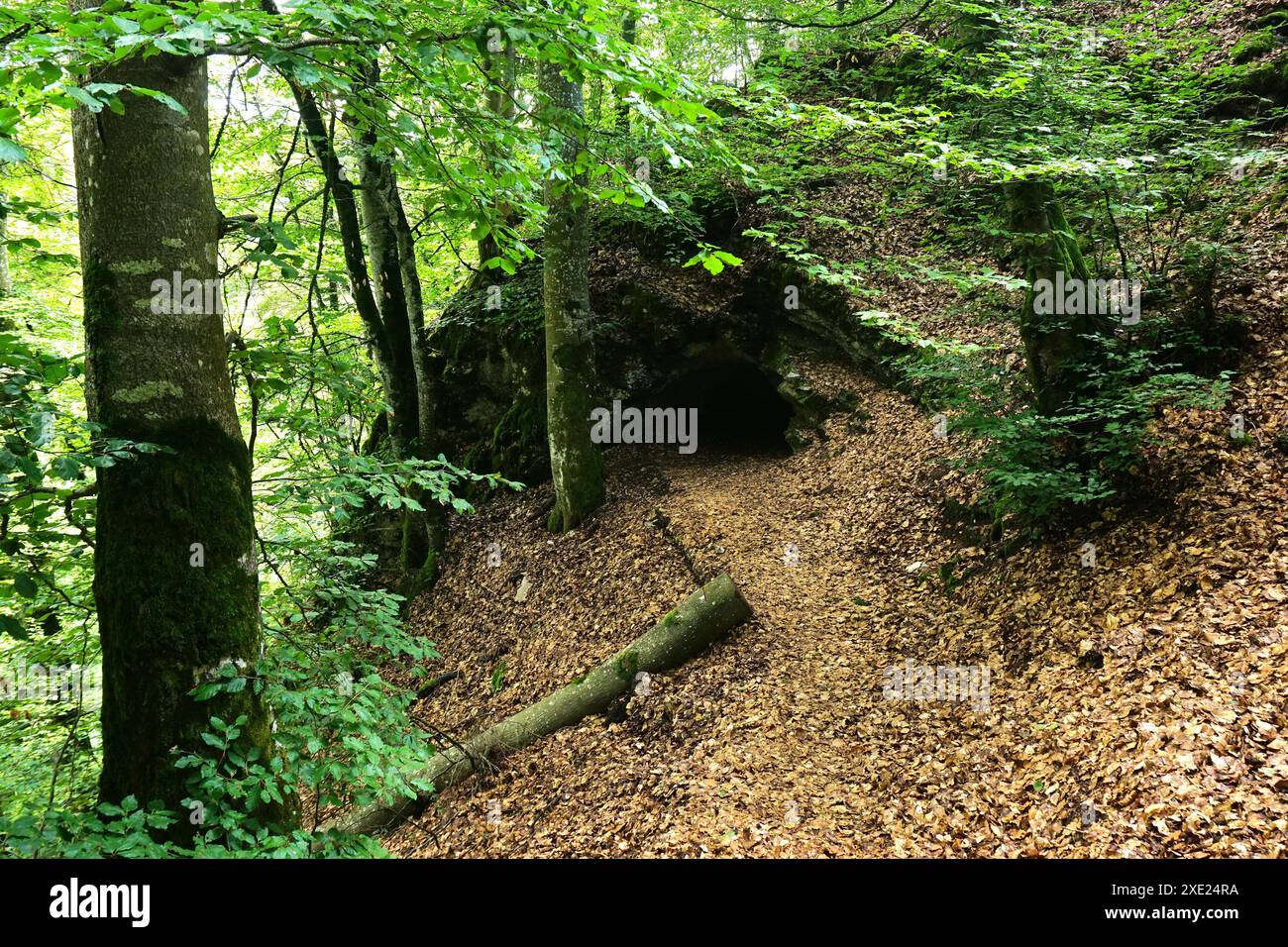 Meaystetten tieringen hi res stock photography and images Alamy