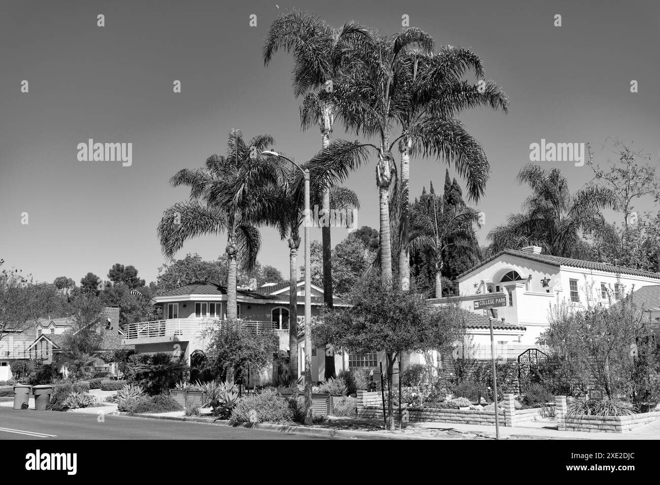 suburb residence with houses and cottages in palm beach Stock Photo