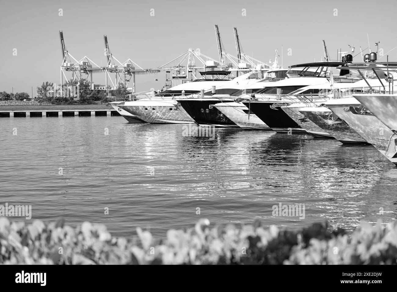 Port luxury yachts boats Black and White Stock Photos & Images - Alamy