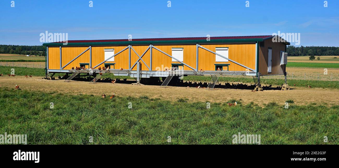 Mobiler Hhnerstall Fr 10 Hhner