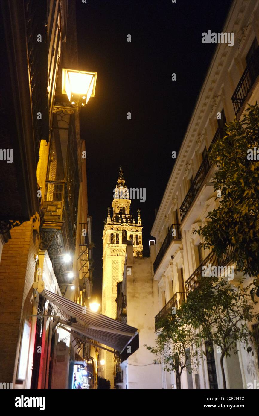 Giralda tower by night seville hi-res stock photography and images - Alamy