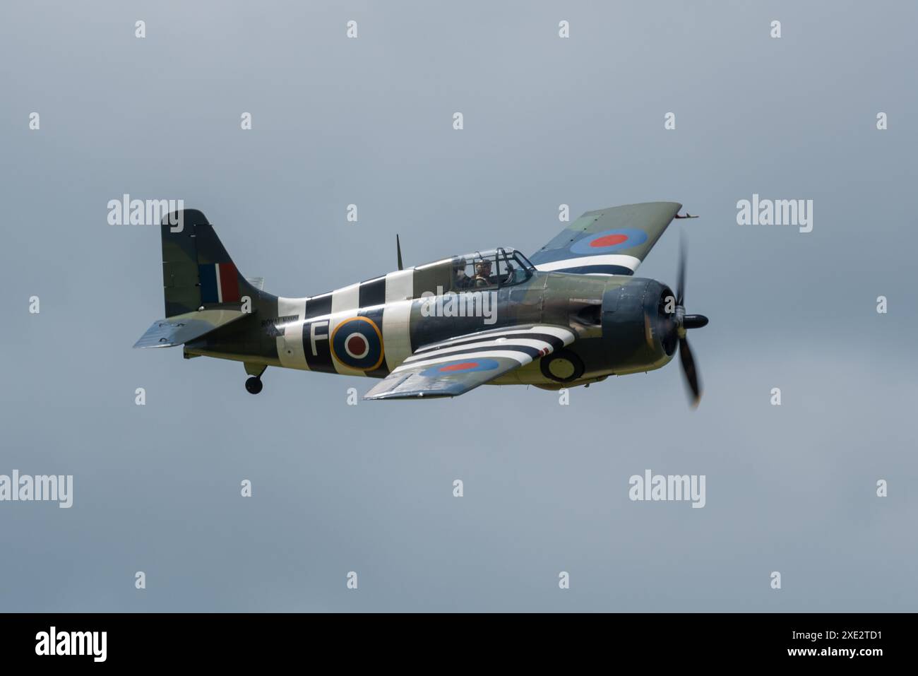 Grumman Wildcat G-RUMW flying at the Sywell Airshow 2024 in Northamptonshire, UK. Vintage British Royal Navy Fleet Air Arm fighter plane Stock Photo