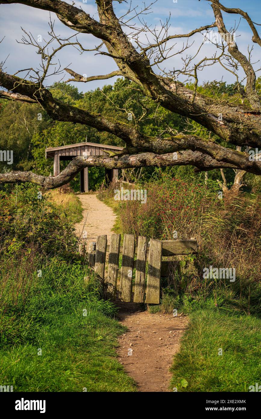 Old wooden fence in park hi-res stock photography and images - Alamy