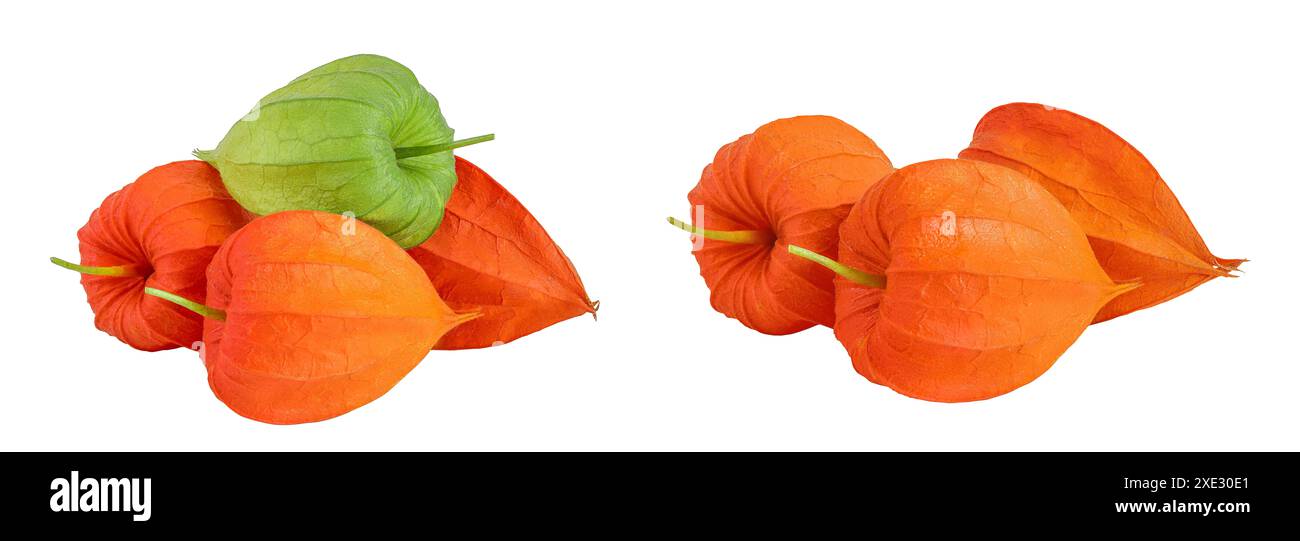 Cape gooseberry, physalis isolated on white background with full depth ...