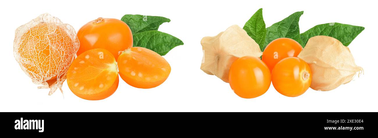 Cape gooseberry or physalis isolated on white background wit full depth ...