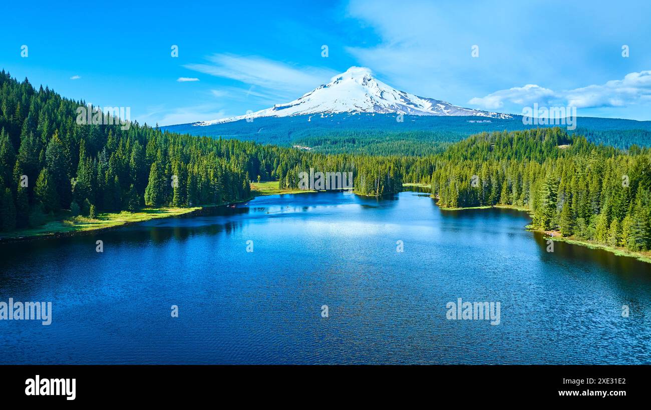 Harmonious view dense forest hi-res stock photography and images - Alamy