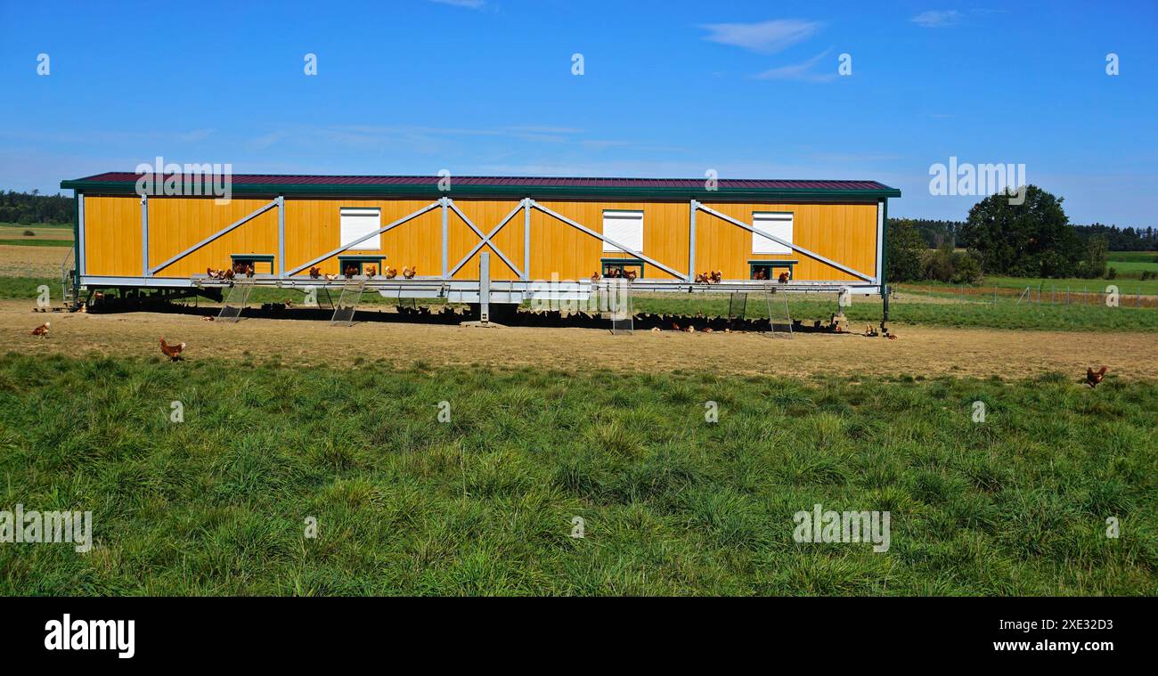Mobiler Hhnerstall Fr 10 Hhner