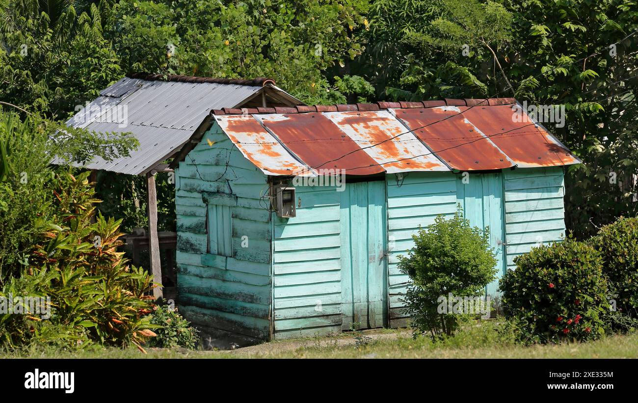 421 Mint green-turquoise wood hut -bohio- with corrugated sheet metal roof and annexe shed, coffee-growing farm in Santo Domingo village. Granma-Cuba. Stock Photo