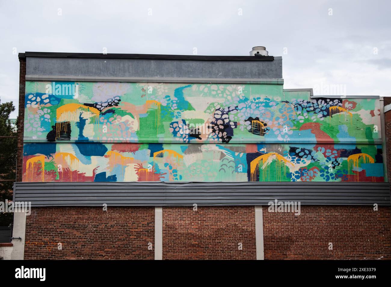 Abstract Aerosol mural on Lutz Street in downtown Moncton,New Brunswick, Canada Stock Photo Alamy