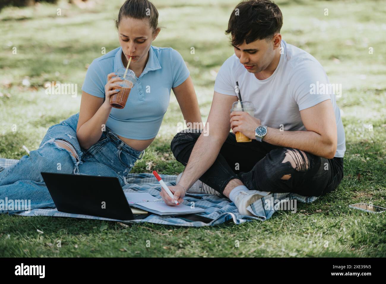 High school friends studying together in an urban park, collaborating ...