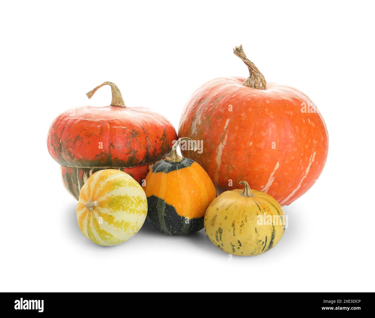Different fresh pumpkins on white background Stock Photo - Alamy