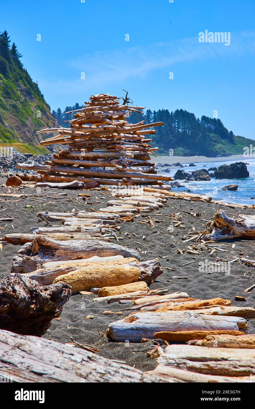 Beach forest coastal hills hi-res stock photography and images - Alamy