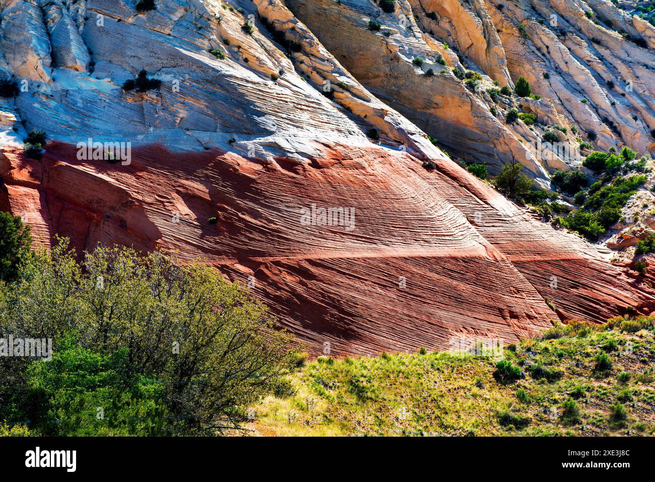 Vibrant red white sedimentary hi-res stock photography and images - Alamy