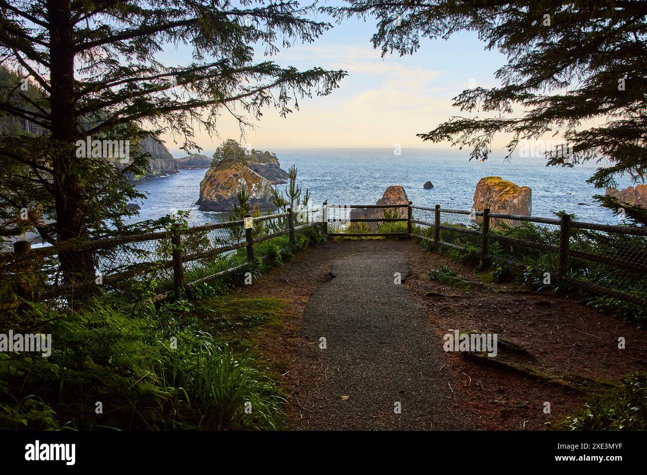 Rugged pacific coastline with evergreen trees hi-res stock photography ...
