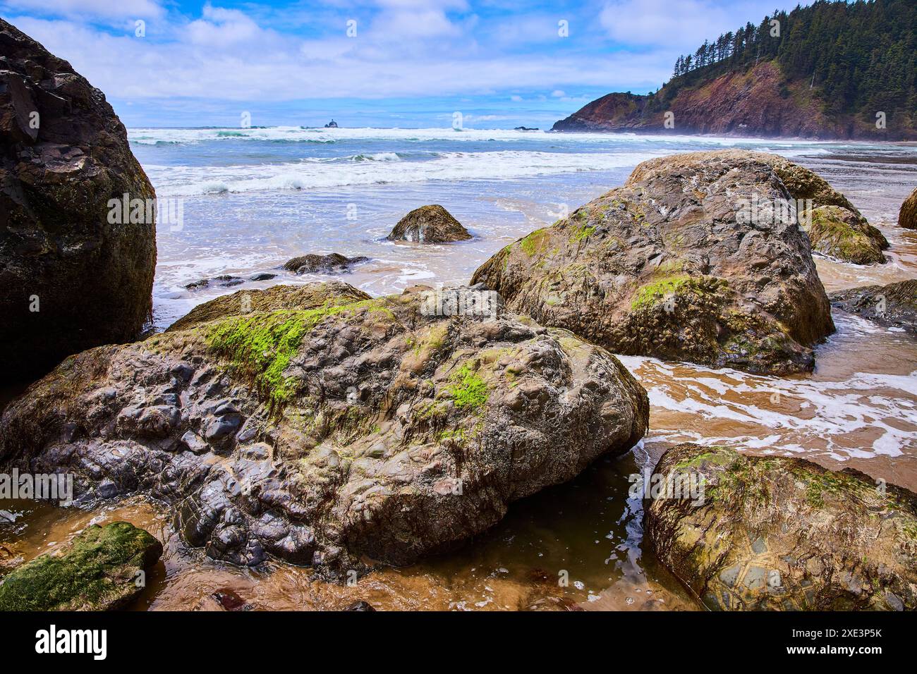 Person Cove Rd In Rocks Mossy covered rocks sea hi-res stock photography and images - Alamy