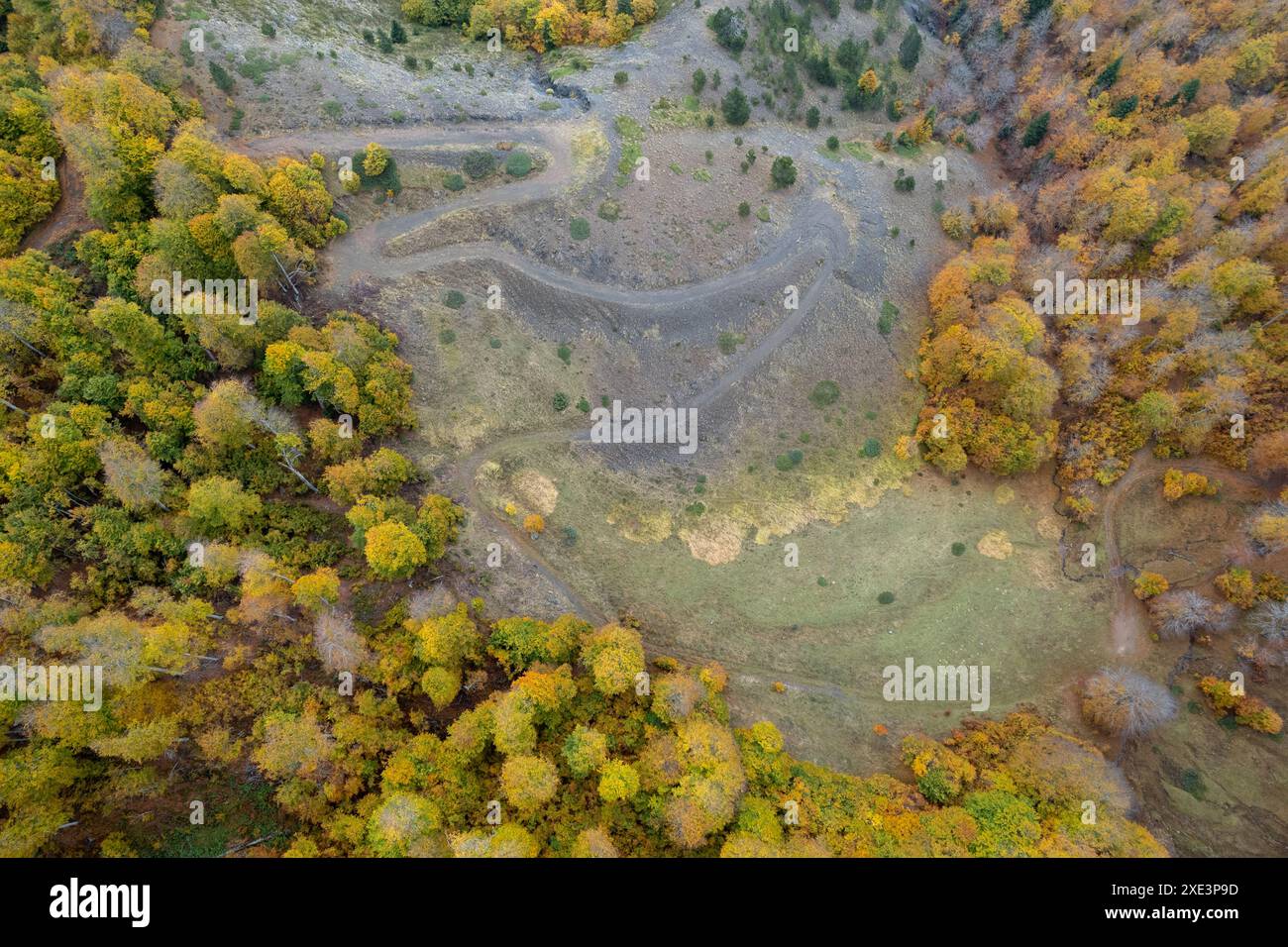 Aerial woodland fall road hi-res stock photography and images - Alamy