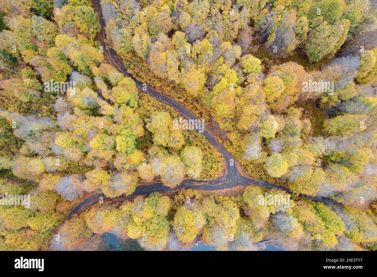 Aerial woodland fall road hi-res stock photography and images - Alamy