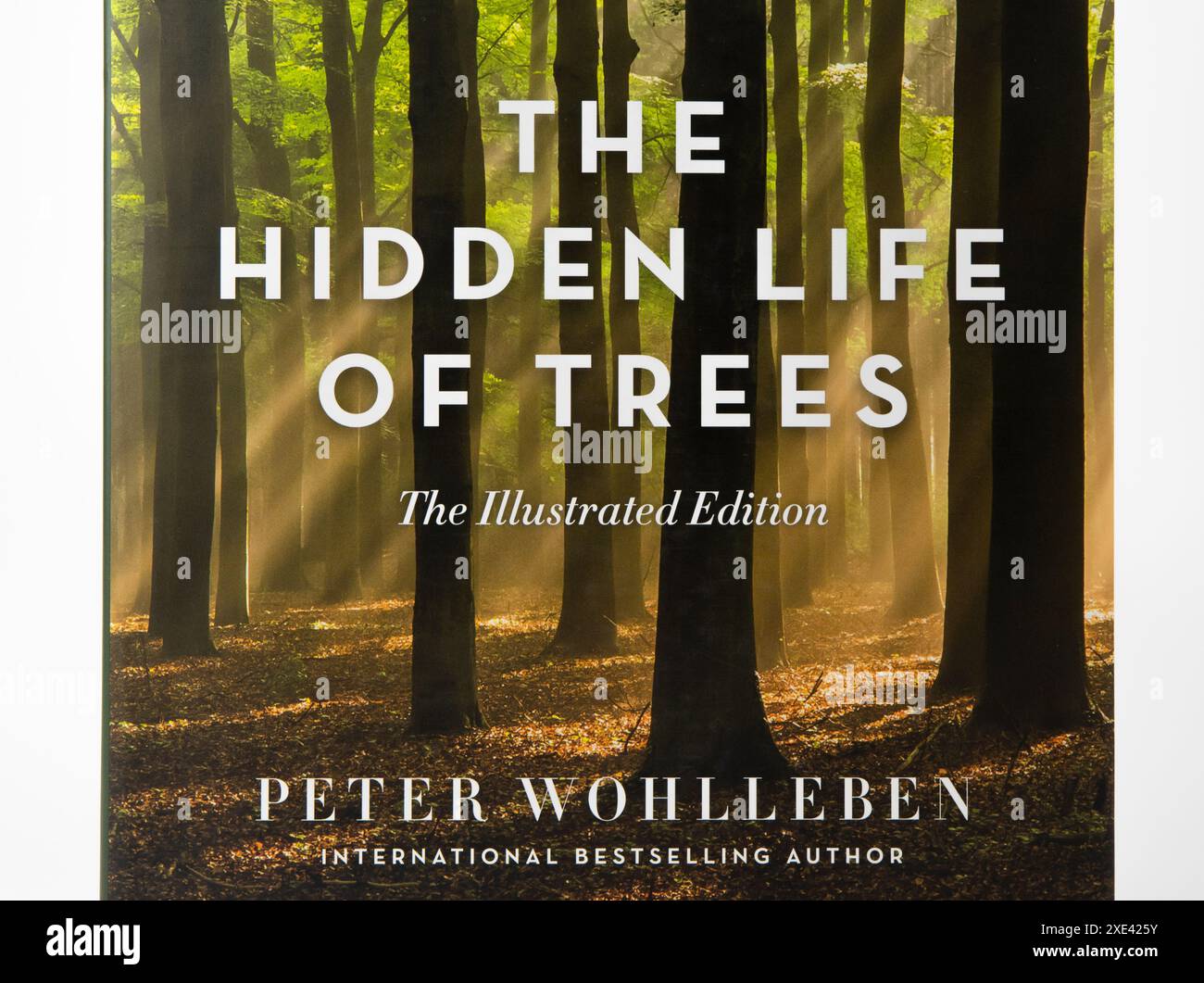 Nova Bana, Slovakia December, 31, 2023 The Hidden Life Of Trees, book written by Peter