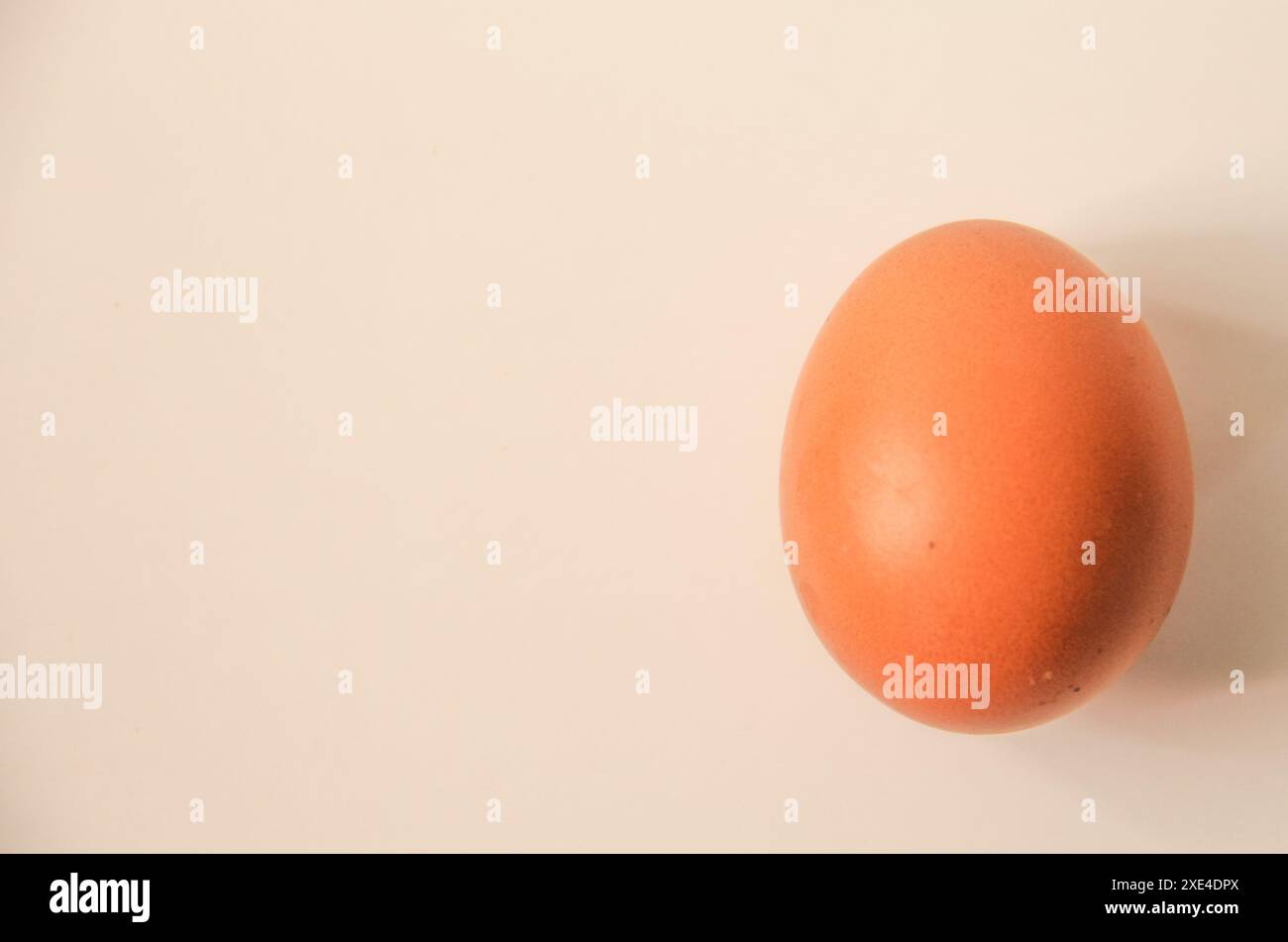 Chicken Egg isolated on white background Stock Photo - Alamy