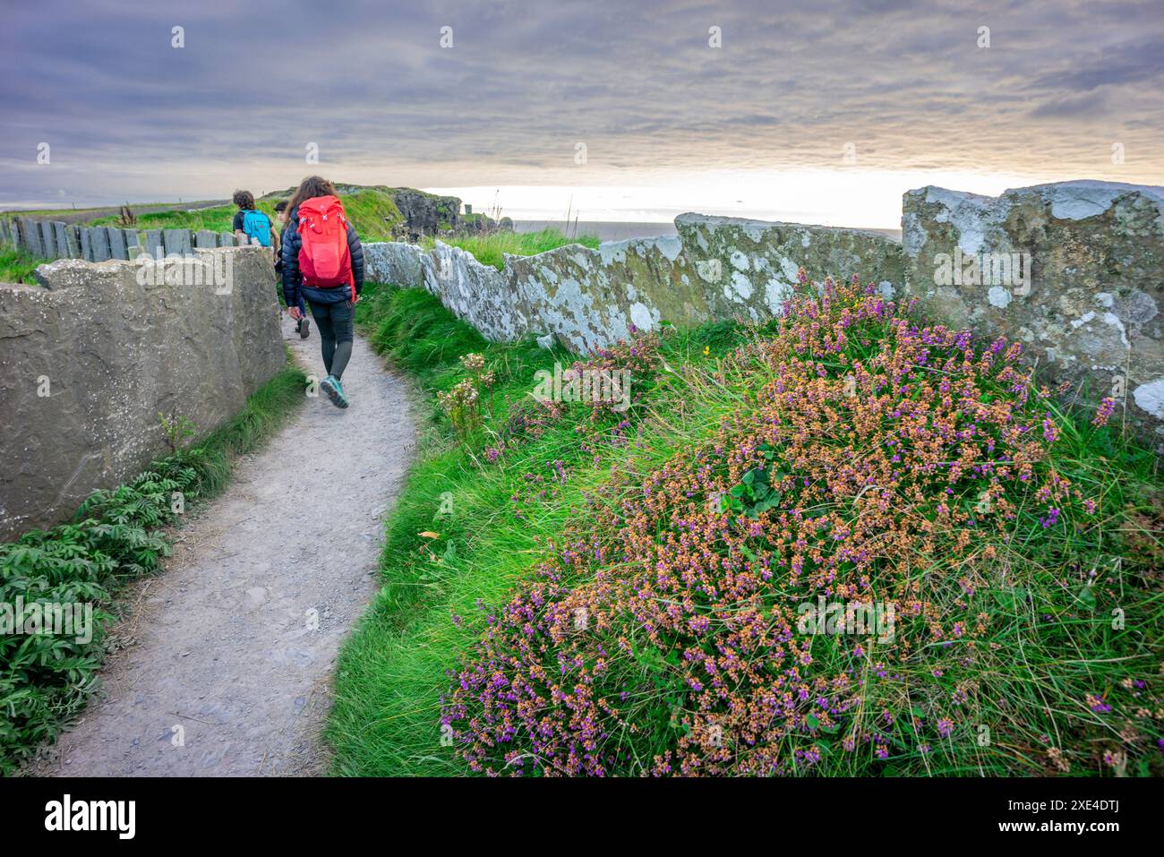 Hiker between traditional stone fence Stock Photo