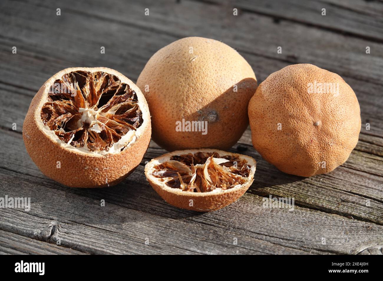 Citrus, Citrusfruechte, getrocknet, dried Stock Photo