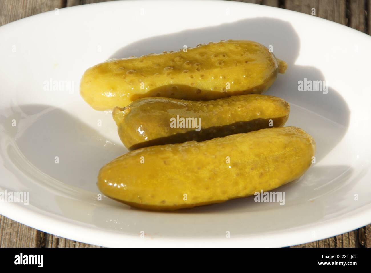 Cucumber cucumis sativus plant hi-res stock photography and images - Alamy