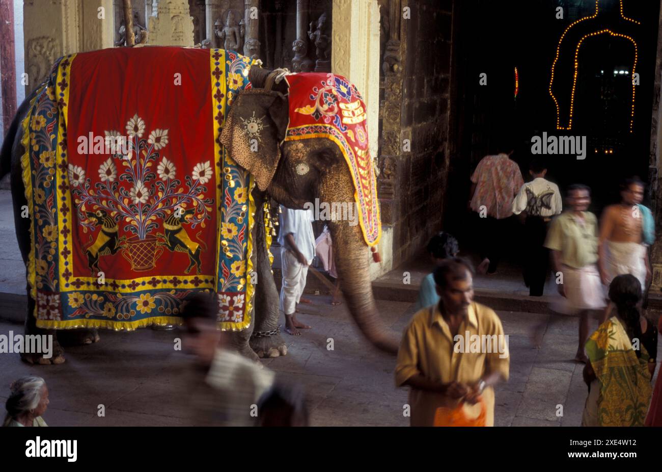 Elephant Welcome Ritual a Hindu Elephant ceremony in the Meenakshi Amman Temple in the city of ...