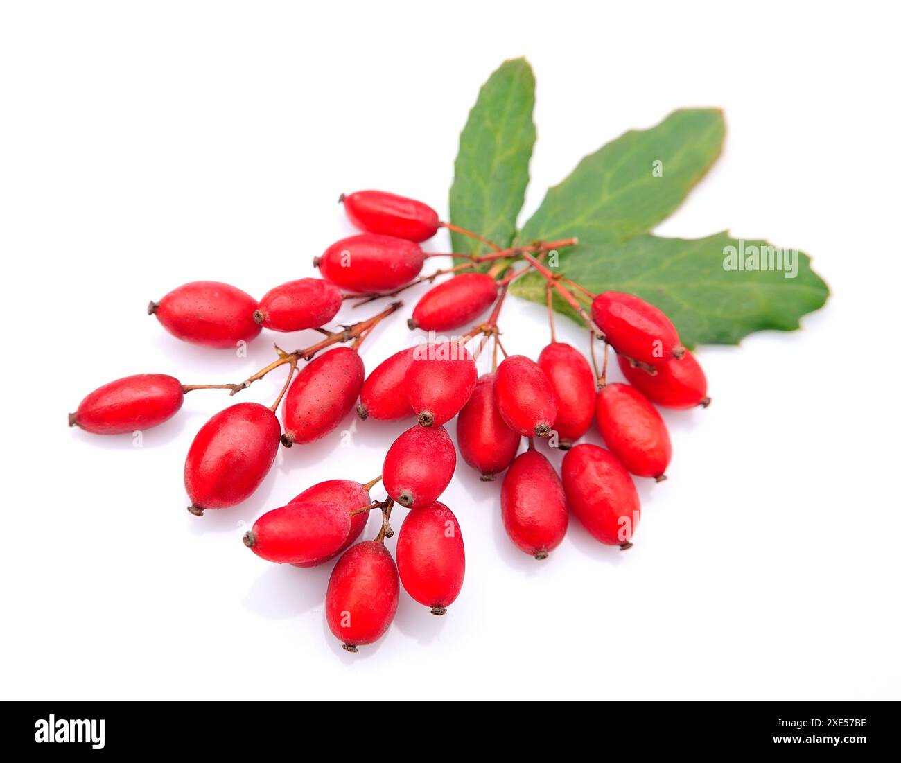 Berbera Cut Out Stock Images & Pictures - Alamy