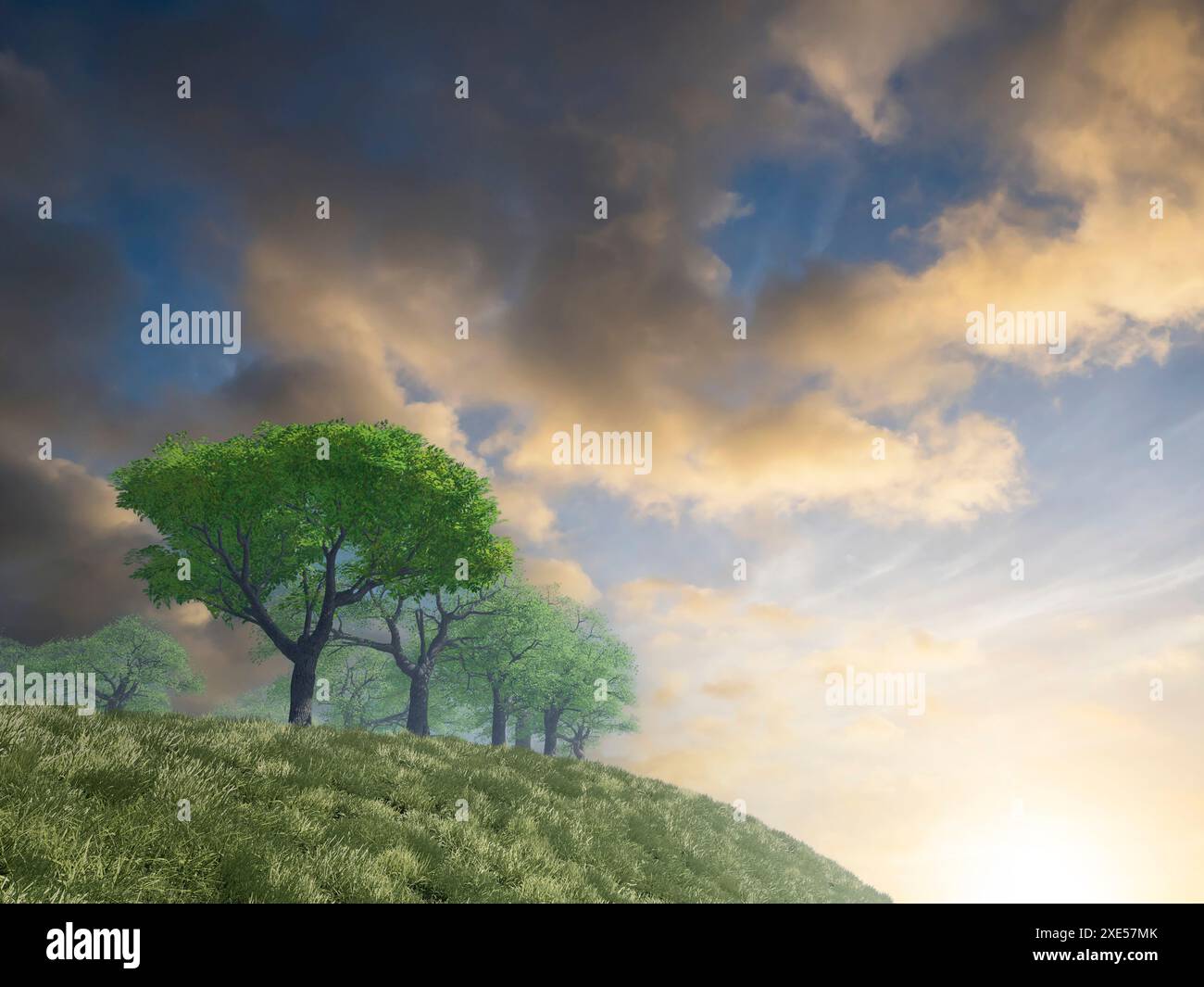 Dynamic sunset sky and green hills and rows of trees Stock Photo - Alamy